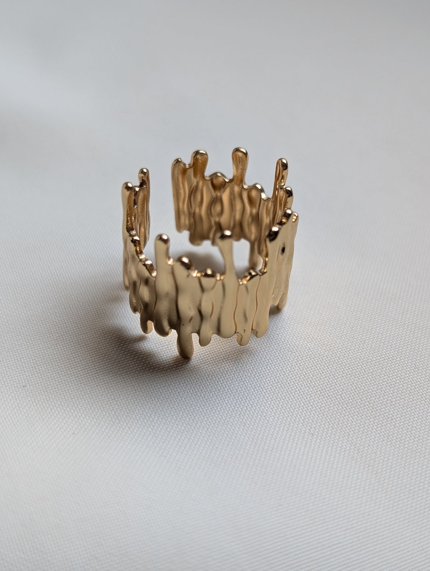 Fencing Ring