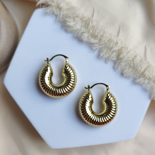 Anna Big earrings