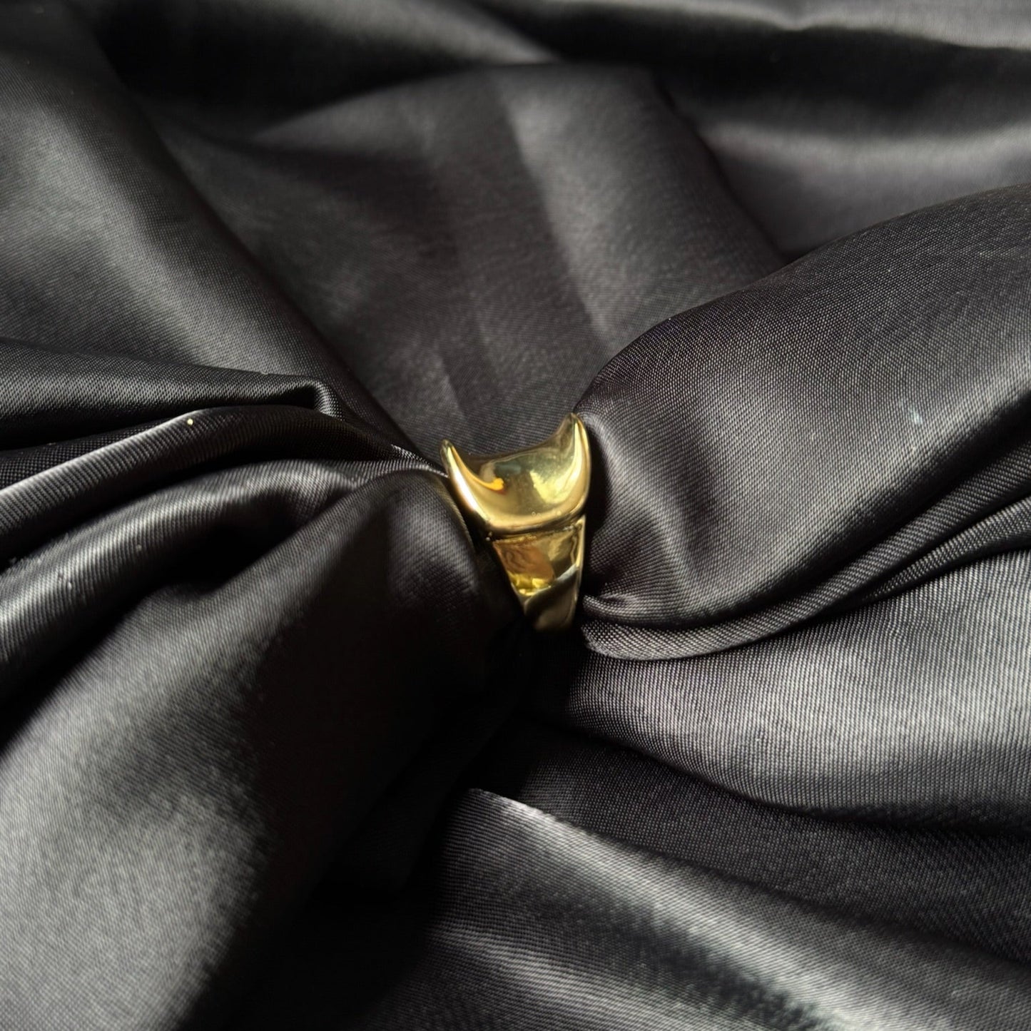 Lippmann Ring