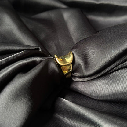 Lippmann Ring