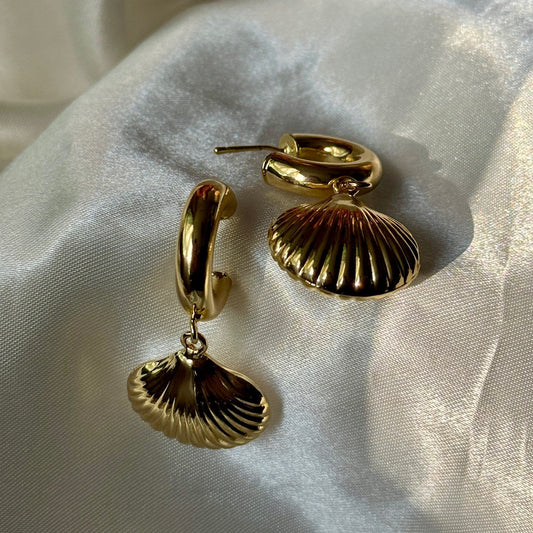 Shell Earrings